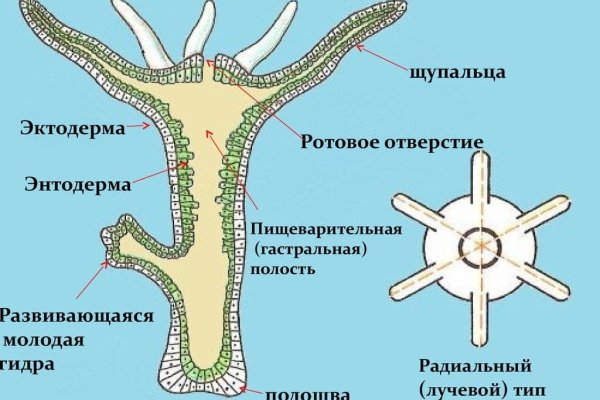 Кракен сайт 1kraken me вход
