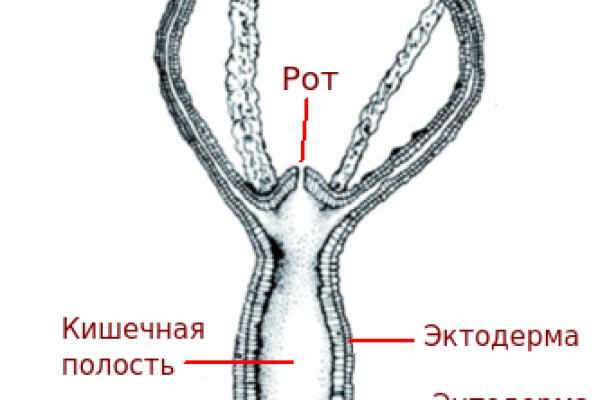 Kra28.cc
