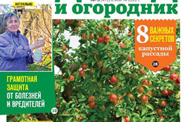 Как найти настоящую кракен даркнет ссылку
