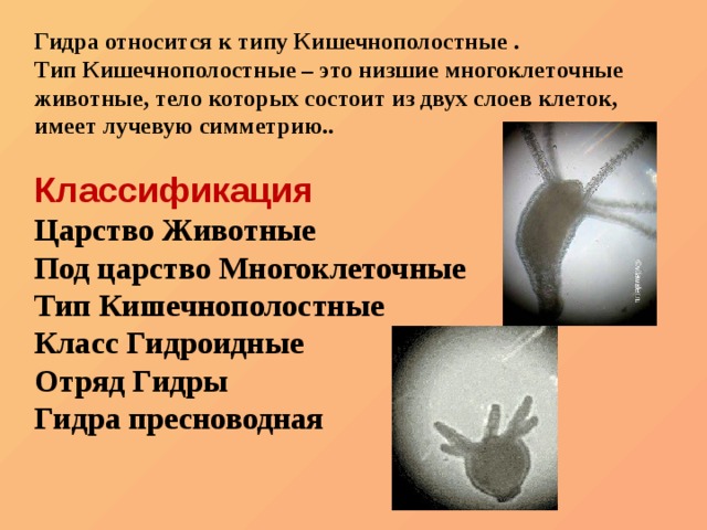 Кракен сайт пользователь не найден