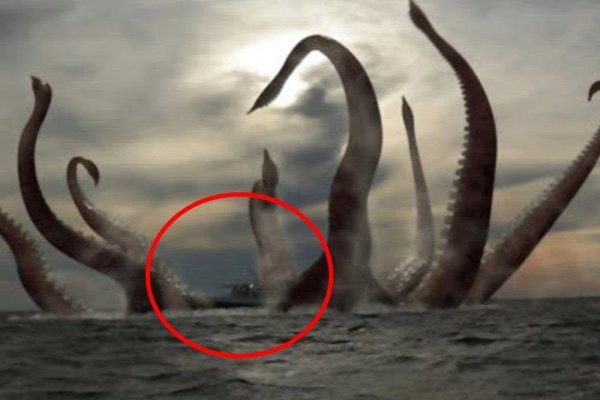 Kraken forum