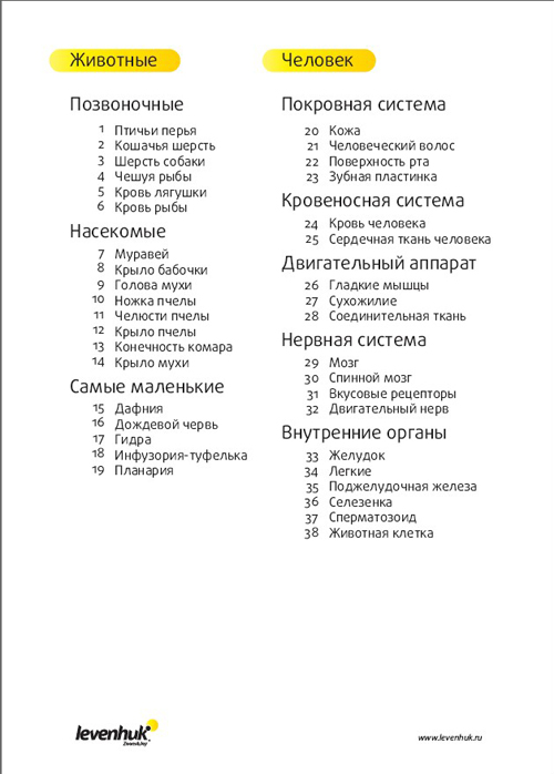 Кракен бошки
